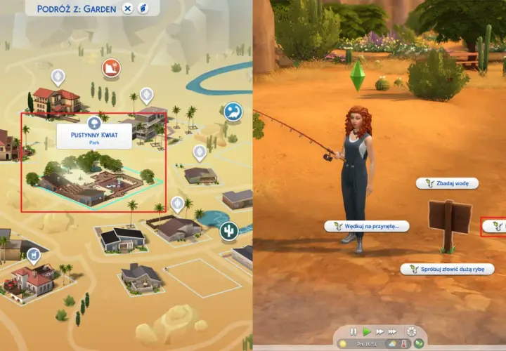 Symulacja gry The Sims 4: aby zdobyć krowokwiat, udaj się do Pustynny Kwiat Park i idź na ryby.