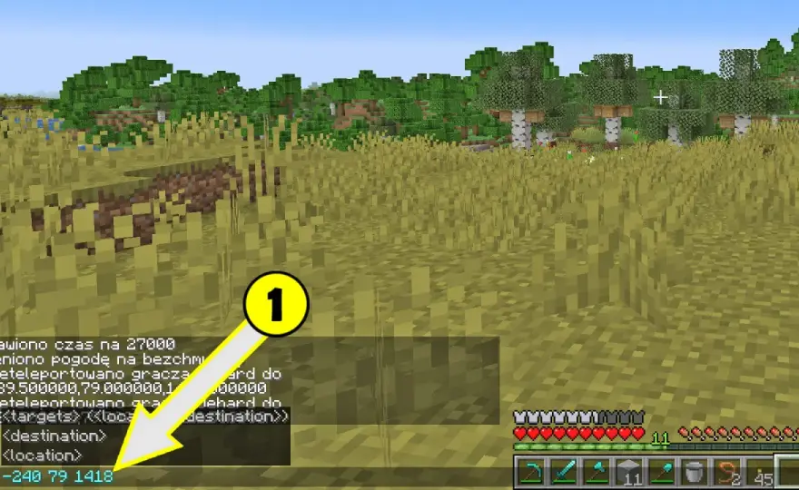 Teleportacja w Minecraft - jak działa komenda /tp?