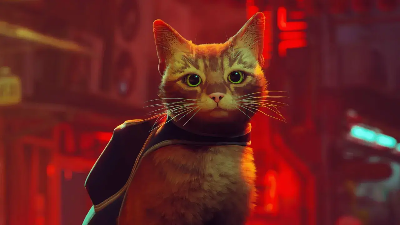 Rudy kot z zielonymi oczami w kamizelce, bohater gry o kocie, spogląda zza czerwonych świateł.